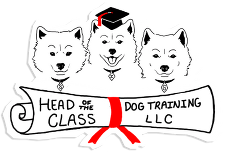 Head of the Class Dog Training, LLC 