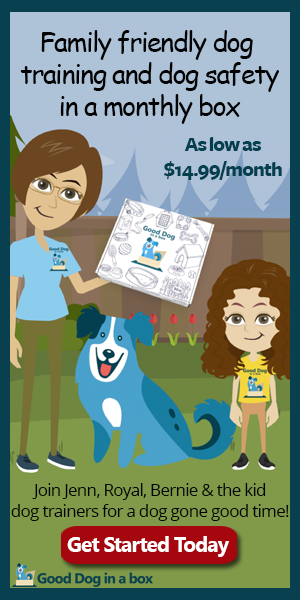 Family friendly dog training and dog safety.