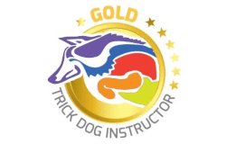 Head of the Class Dog Training LLC
